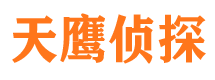 振安市侦探公司